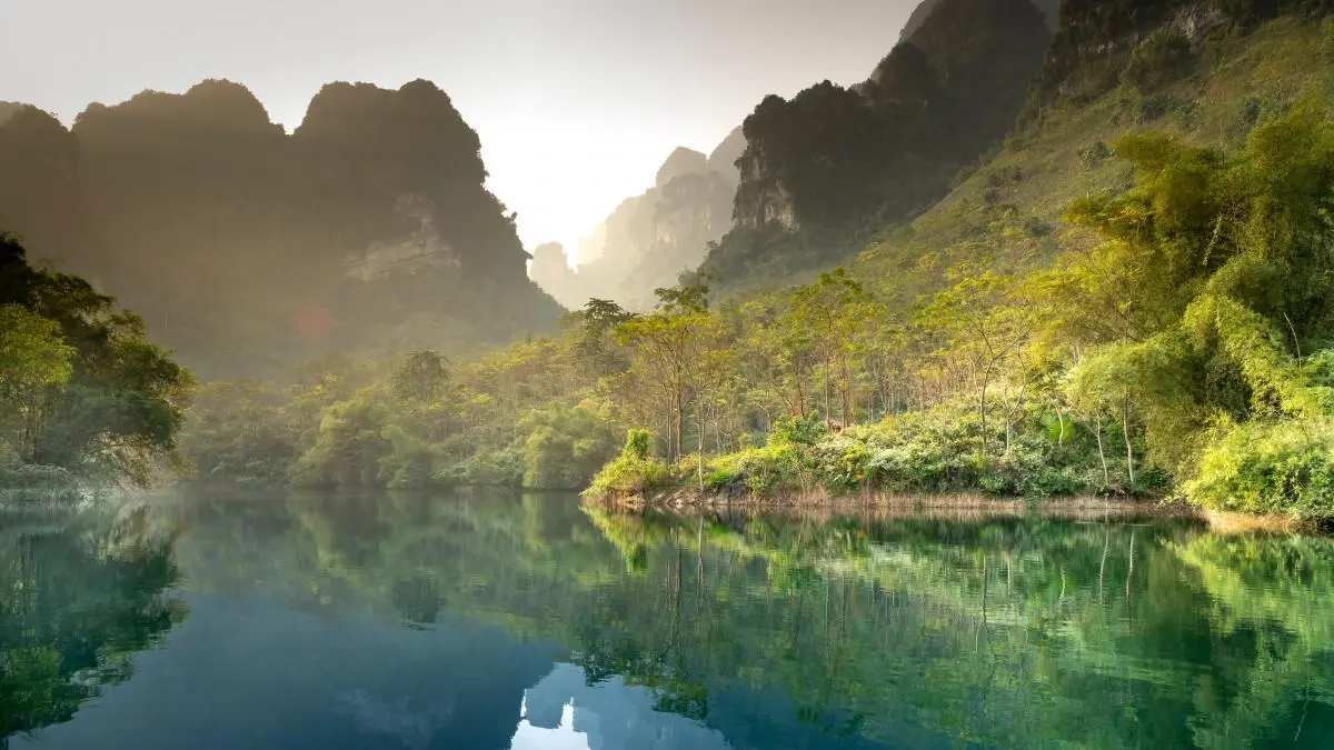 绿色精密高质量